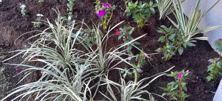 Legislativo de Cristal do Sul revitaliza jardim em frente &agrave; C&acirc;mara de Vereadores
